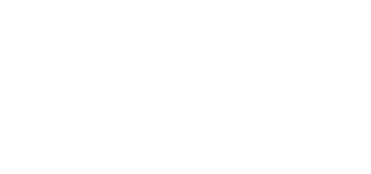 The Gibbs Team